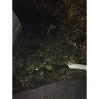 ODU Hazards image